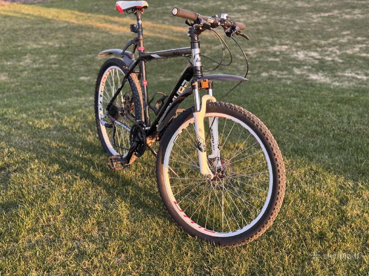 Dviratis Nakamura Vertex Xc50