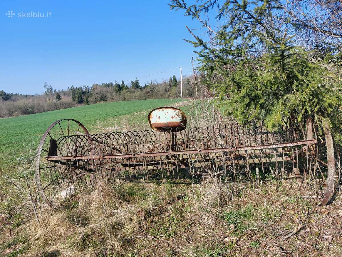 Arklinis grėblys