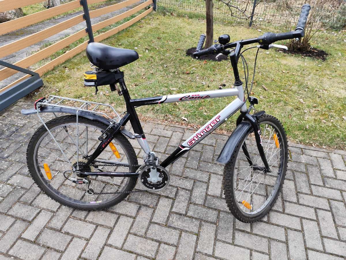 Vyriškas dviratis