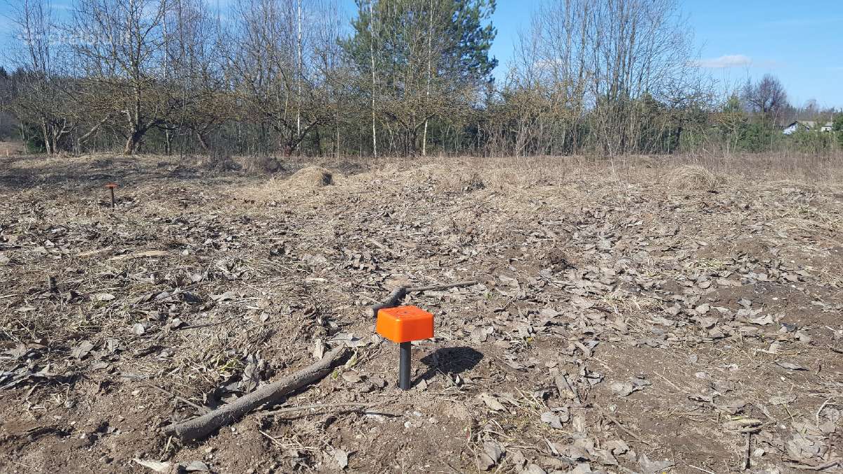 Riboženkliai ir mediniai kuoliukai - nuotraukos Nr. 18