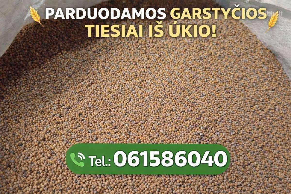 Garstyčios