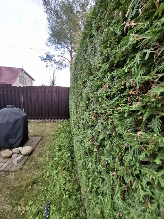 Gyvatvorių genėjimas,vejos pjovimas,skarifikavimas - nuotraukos Nr. 25