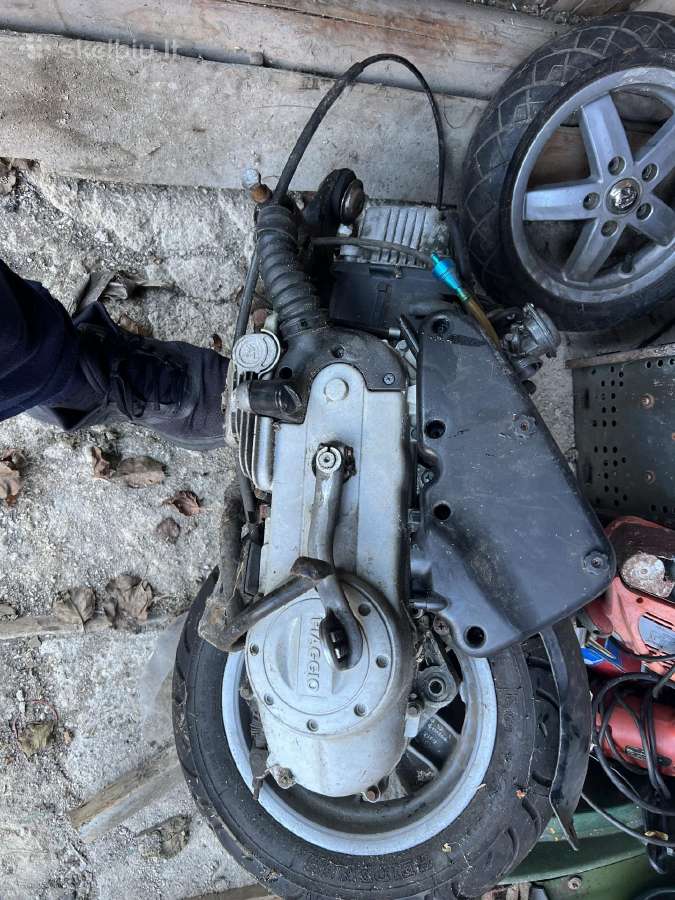 Vespa varyklis - nuotraukos Nr. 6