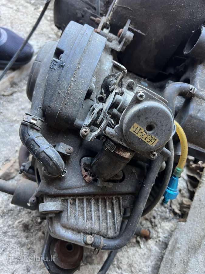 Vespa varyklis - nuotraukos Nr. 8