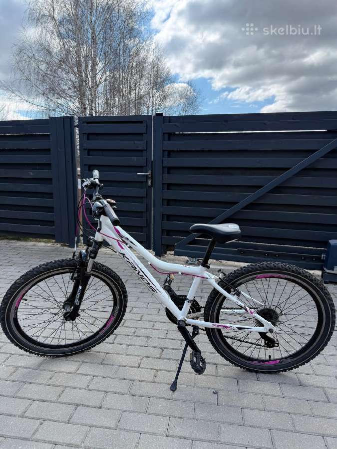 Dviratis Kands 24''