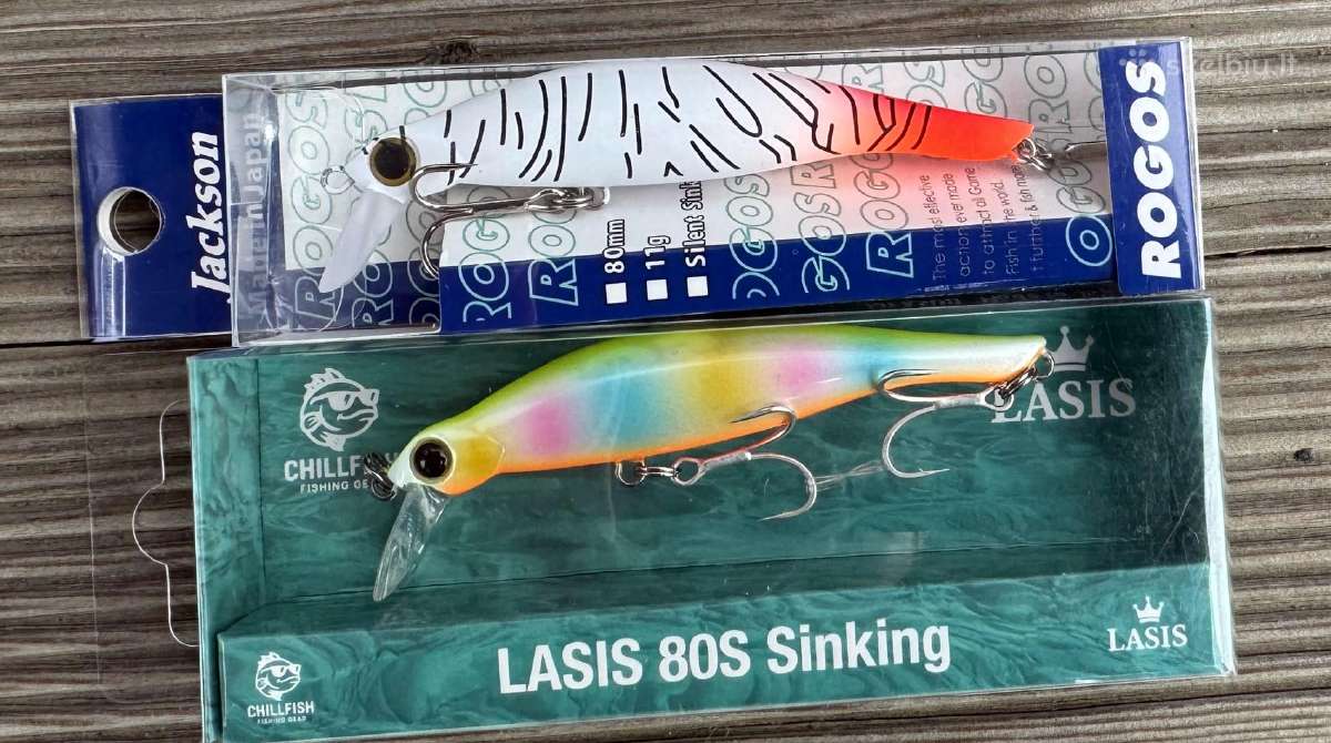 Jackson Rogos & Lasis