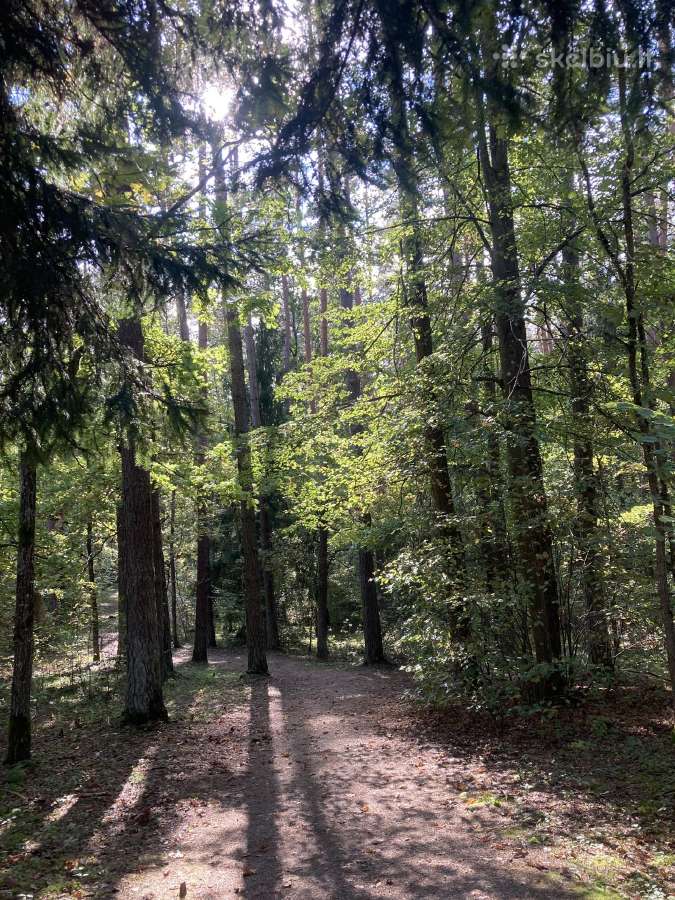 Parduodamas naujos statybos namas Kernavė - nuotraukos Nr. 12