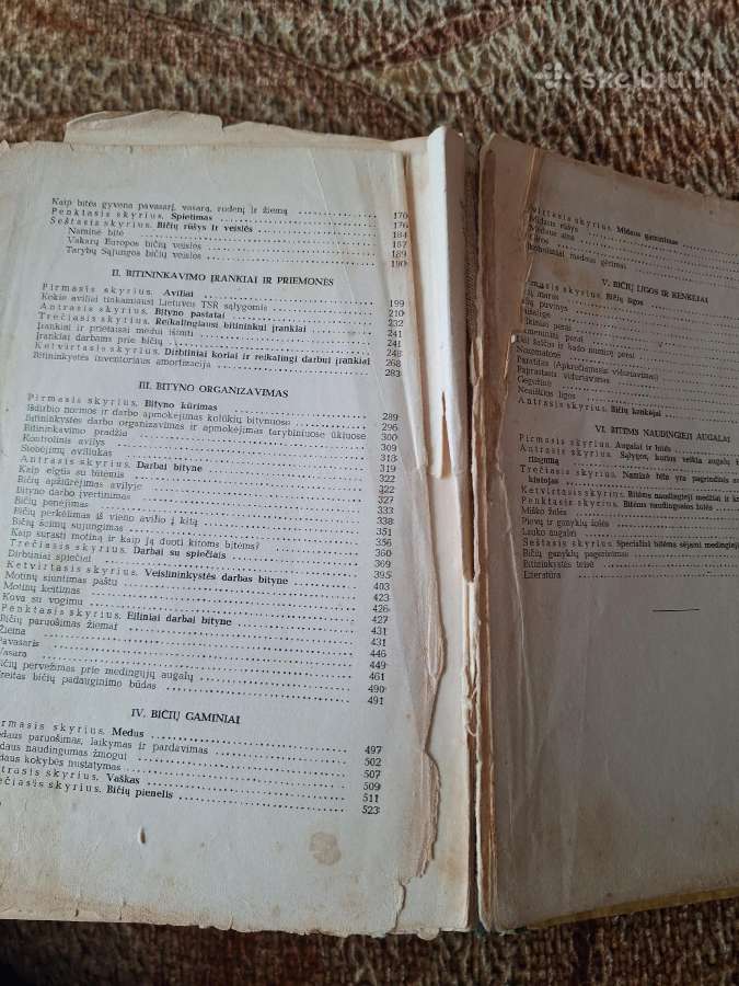 Bitininkystė. J. Kriščiūnas 1961m. - nuotraukos Nr. 4