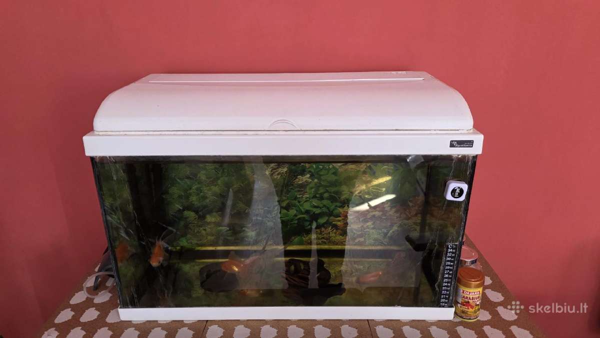 Akvariumas 60 litru