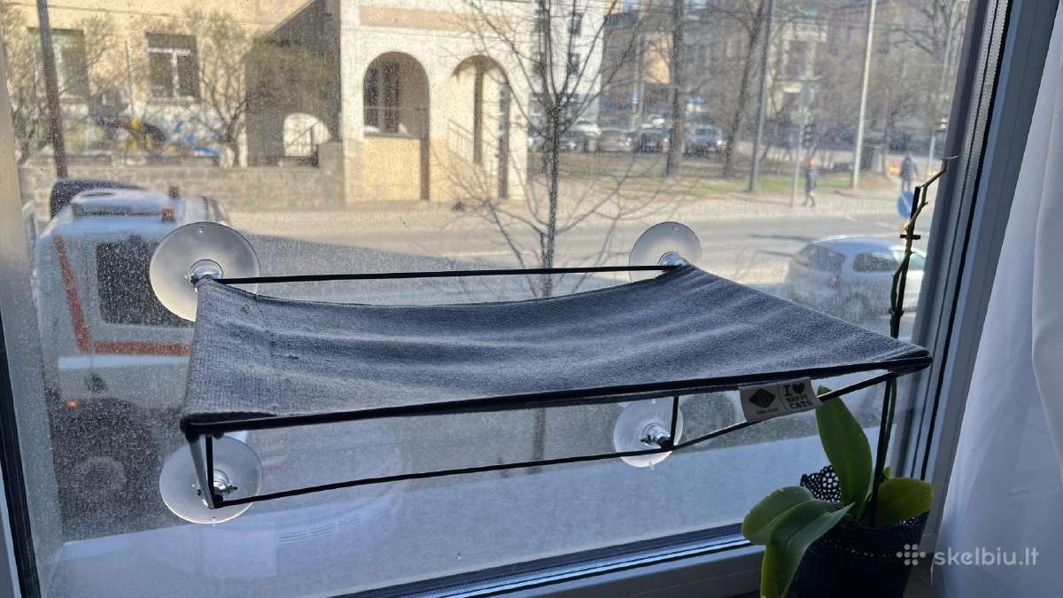 Hamakas katėms