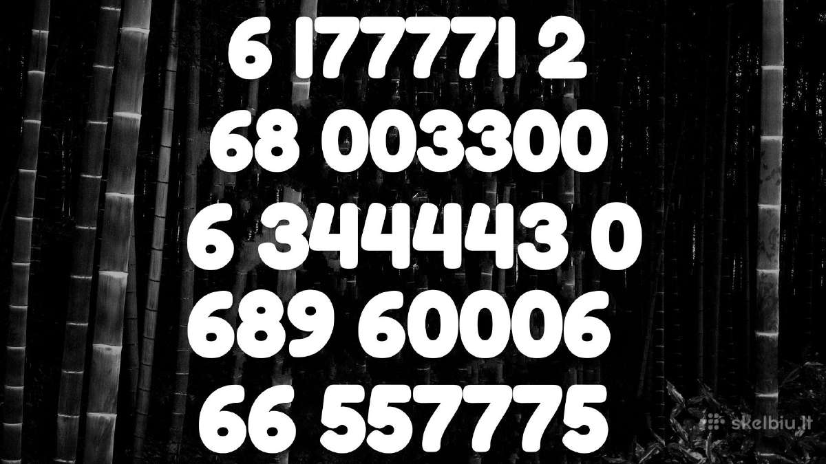 Lengvas VIP numeris 60006 už 90€