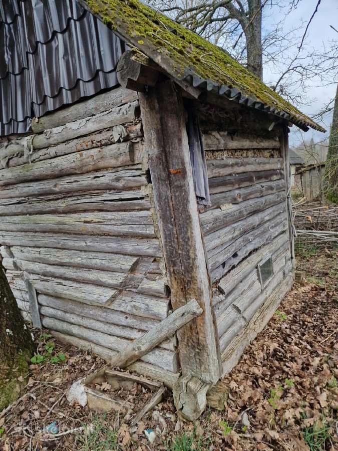 Atiduodam nukelimui nama ir ukini patata - nuotraukos Nr. 2