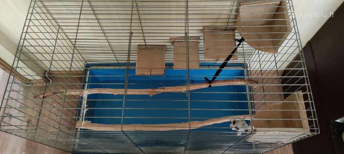 Didelis narvas graužikams. Išsivežti patiems.
