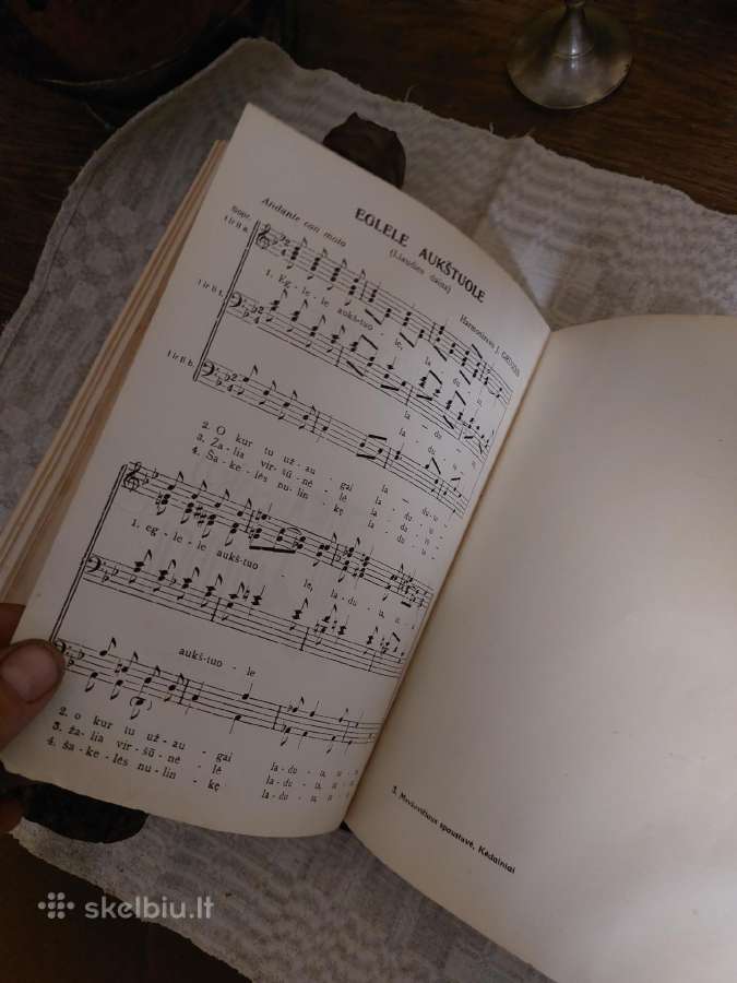 Muzikos barai iki karinis - nuotraukos Nr. 33