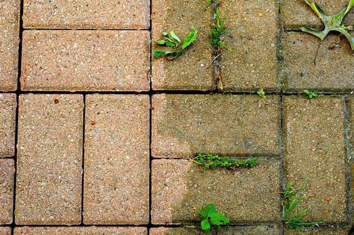 Samanų ir kerpių naikinimo priemonė Grenn-freee - nuotraukos Nr. 16