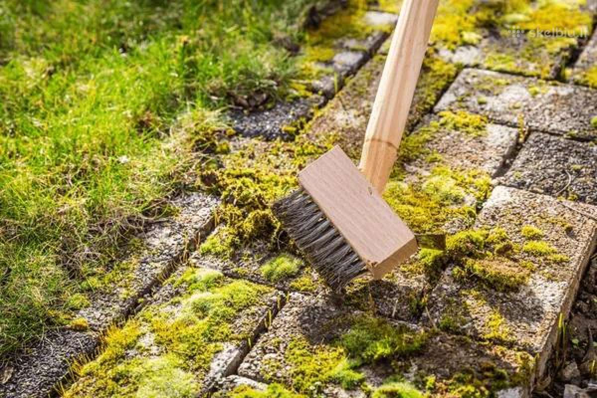 Samanų ir kerpių naikinimo priemonė Grenn-freee - nuotraukos Nr. 22