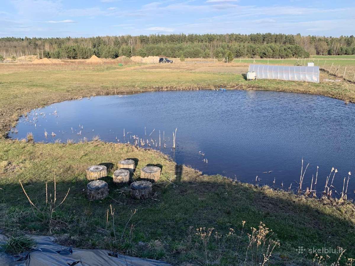 3 ha sodyba su tvenkiniu, derančiomis šilauogėmis
