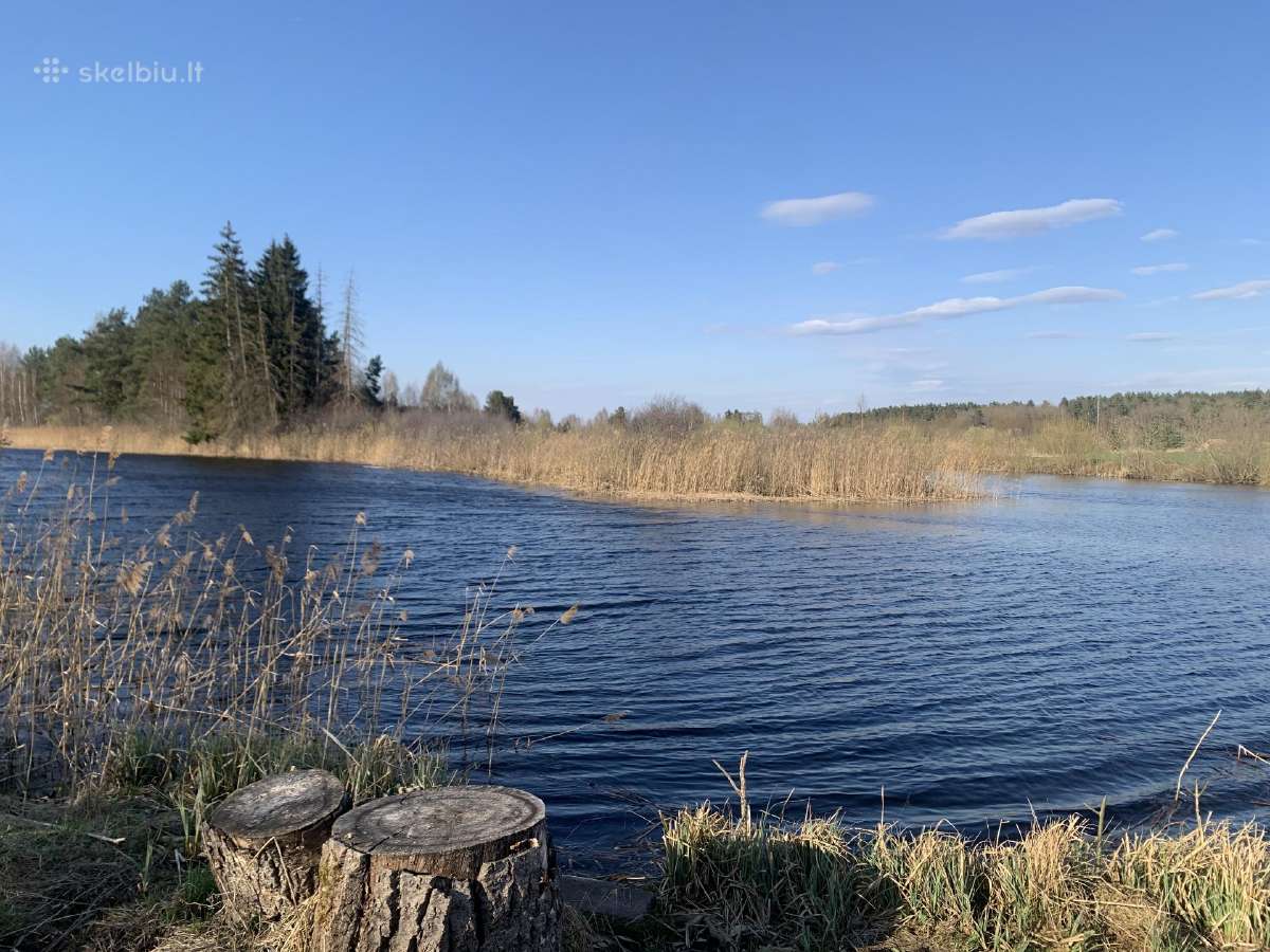 3 ha sodyba su tvenkiniu, derančiomis šilauogėmis - nuotraukos Nr. 4
