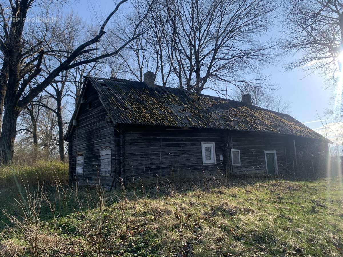 3 ha sodyba su tvenkiniu, derančiomis šilauogėmis - nuotraukos Nr. 6