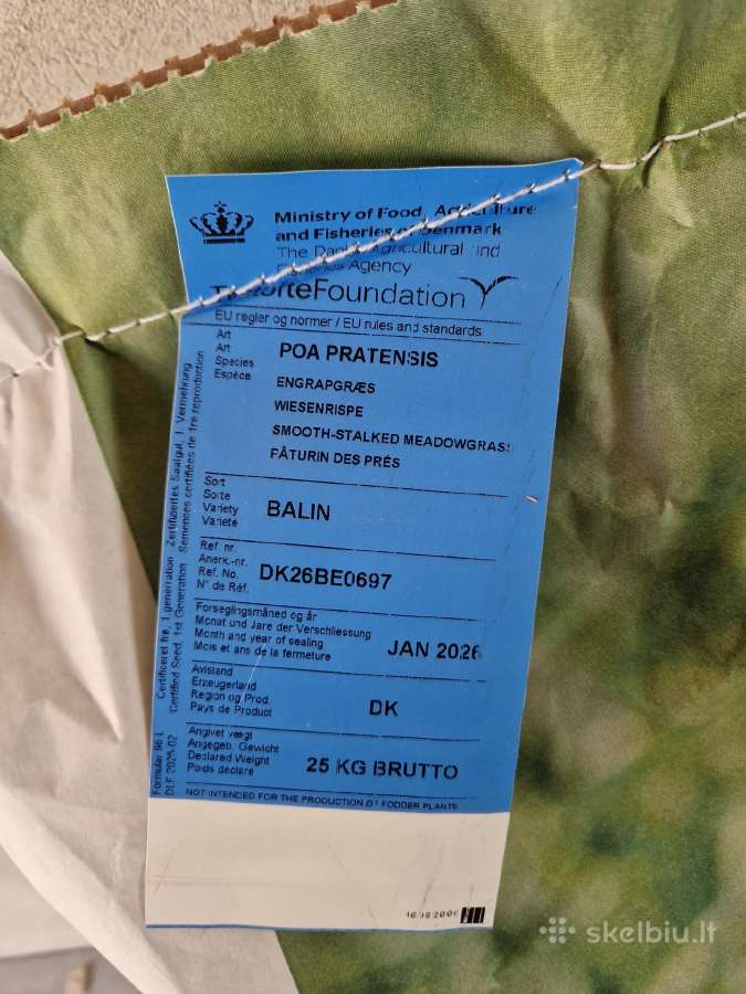 Pievinės miglės sertifikuota sėkla