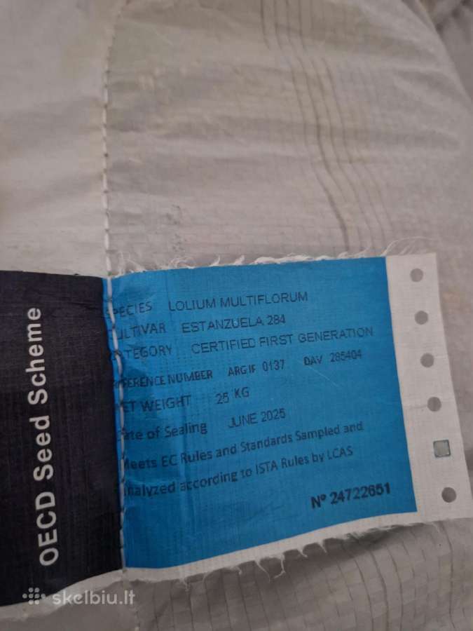 Pievinės miglės sertifikuota sėkla - nuotraukos Nr. 3