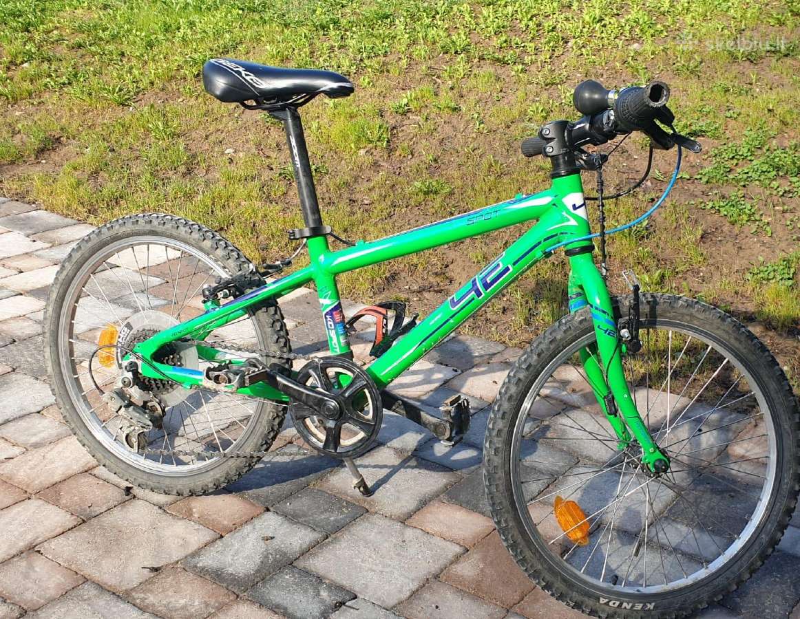 Vaikiškas dviratis 4ever Kid Spot 20"
