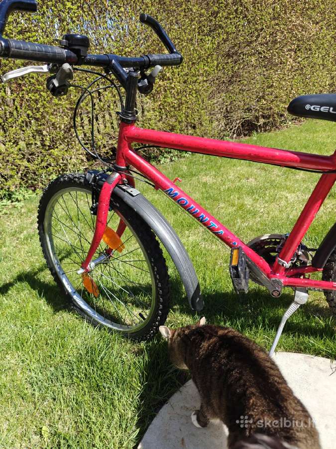 Dviratis paaugliui 24 colių - nuotraukos Nr. 15