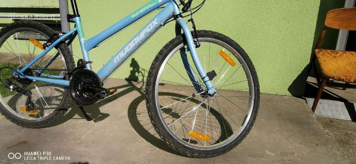 Dviratis 24 ratai