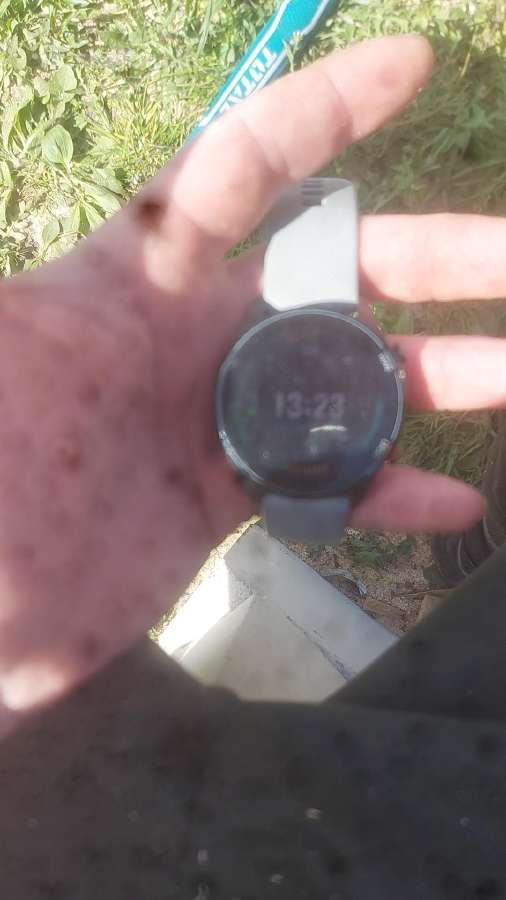 Mi watch xmwtcl02