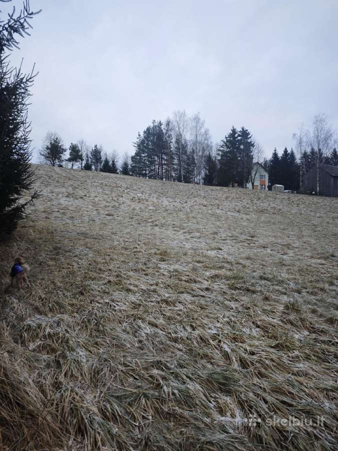 Rekreacinės paskirties žemės sklypas - nuotraukos Nr. 11