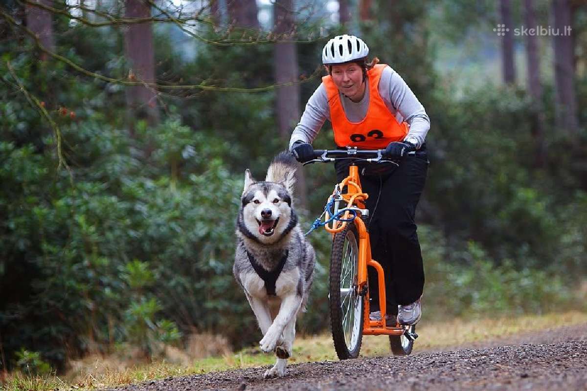 Paspirtukas Pawtrekker - nuotraukos Nr. 6