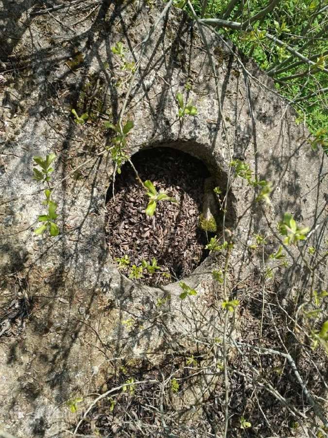 Betoniniai dangčiai - nuotraukos Nr. 3