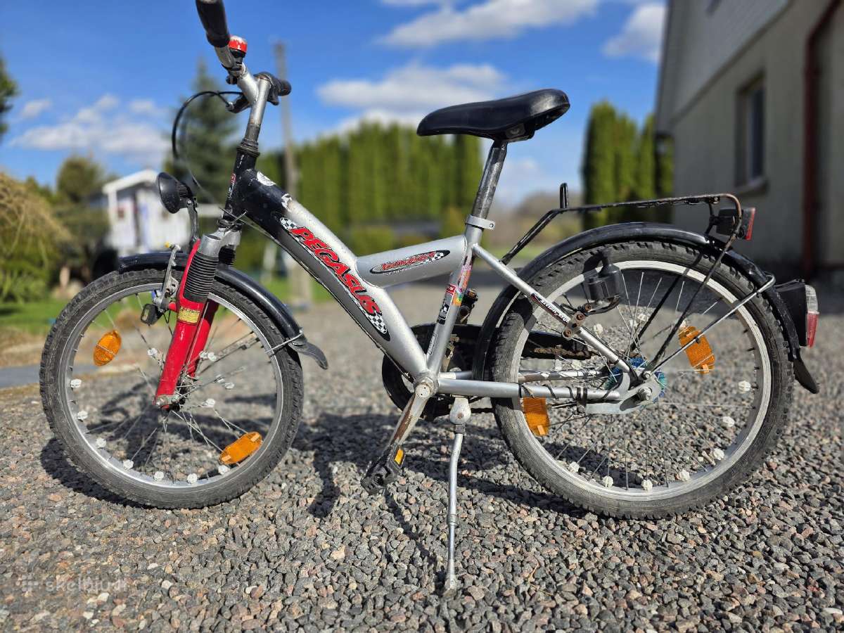 Dviratukas 20" ratai