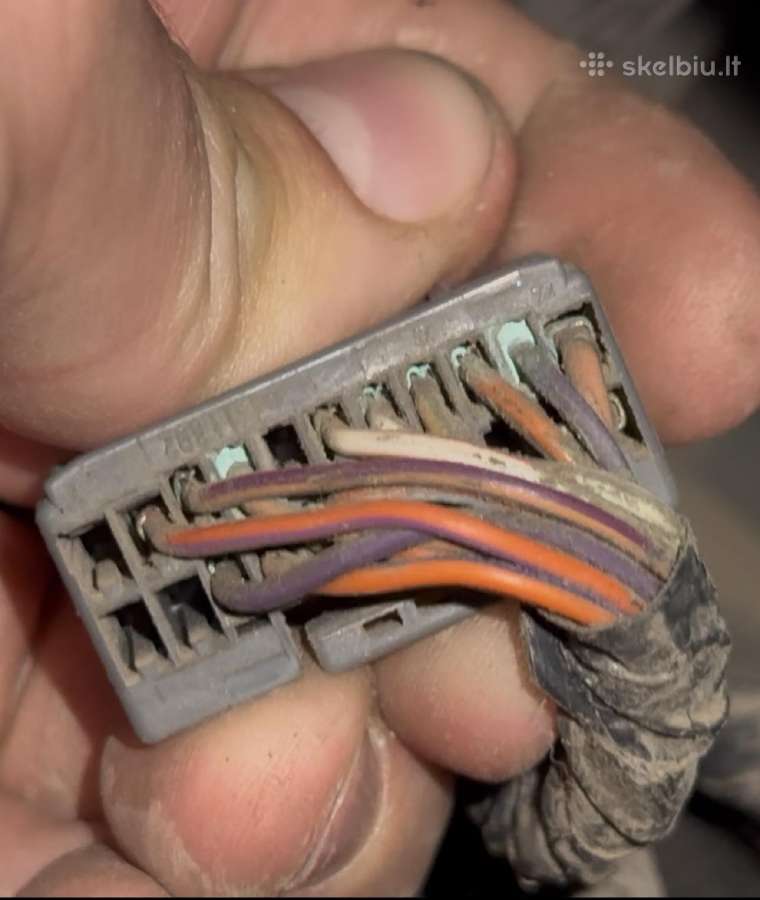 Auto diagnostika