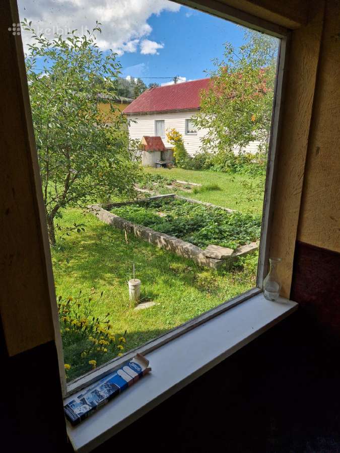 Sodas Vaiteliuose - nuotraukos Nr. 30