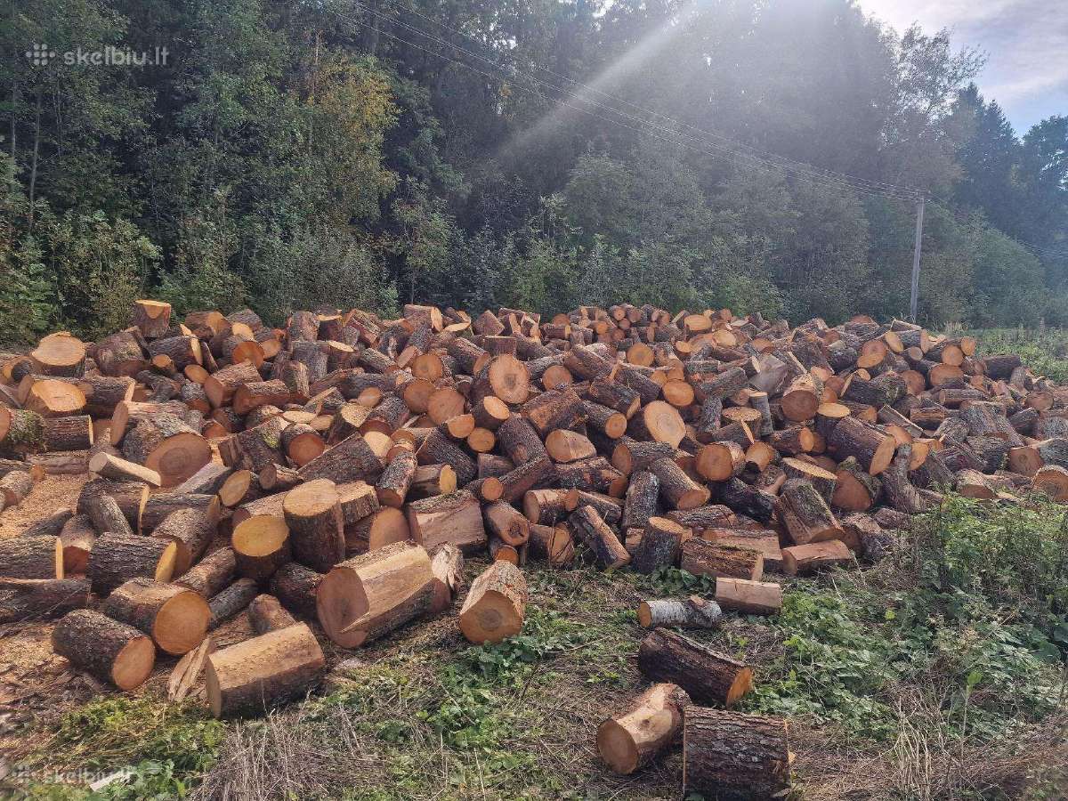 Malkos kaune už sažininga kaina - nuotraukos Nr. 7
