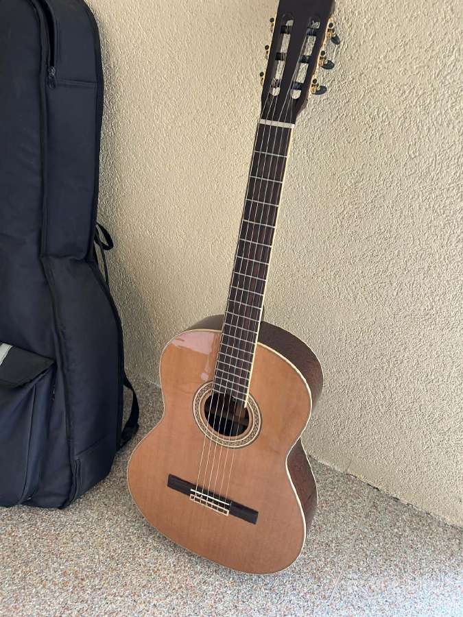 La Mancha Opalo C Gitara