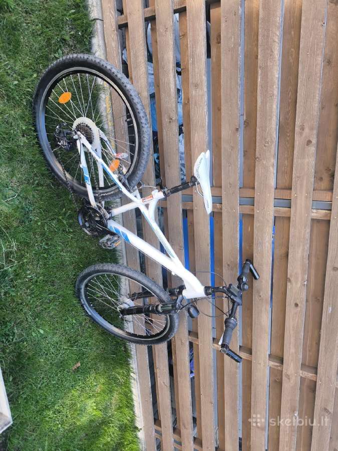 Dviratis Cone 26" ratai remas S/m - nuotraukos Nr. 5