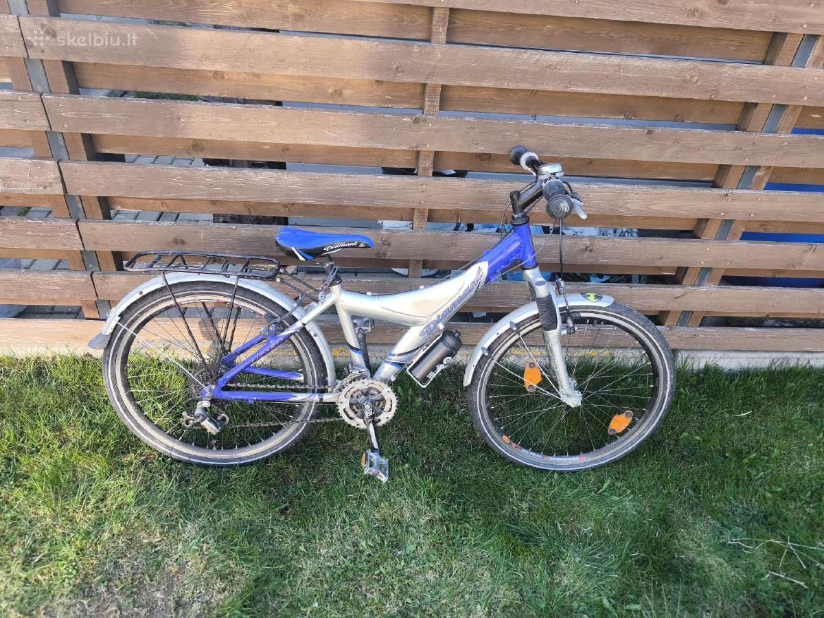 Dviratis Diamant 24" ratai