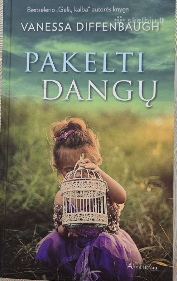 Knyga"pakelti dangų"