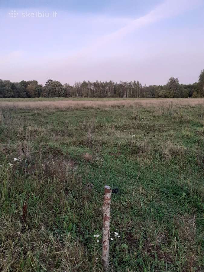 Skubiai parduoda sodyba - nuotraukos Nr. 2