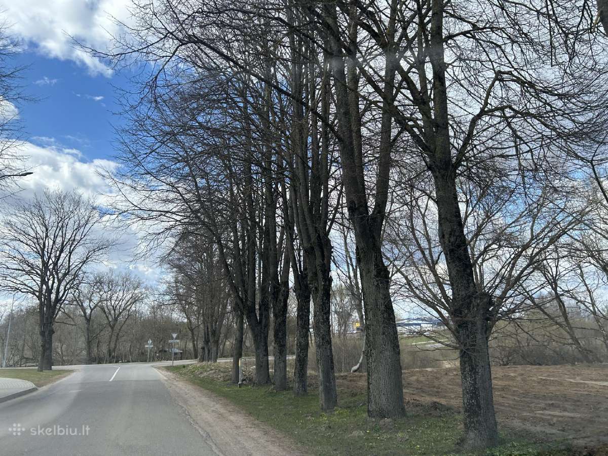 Namų valdos sklypas Dacijonuose – prie upelio - nuotraukos Nr. 13