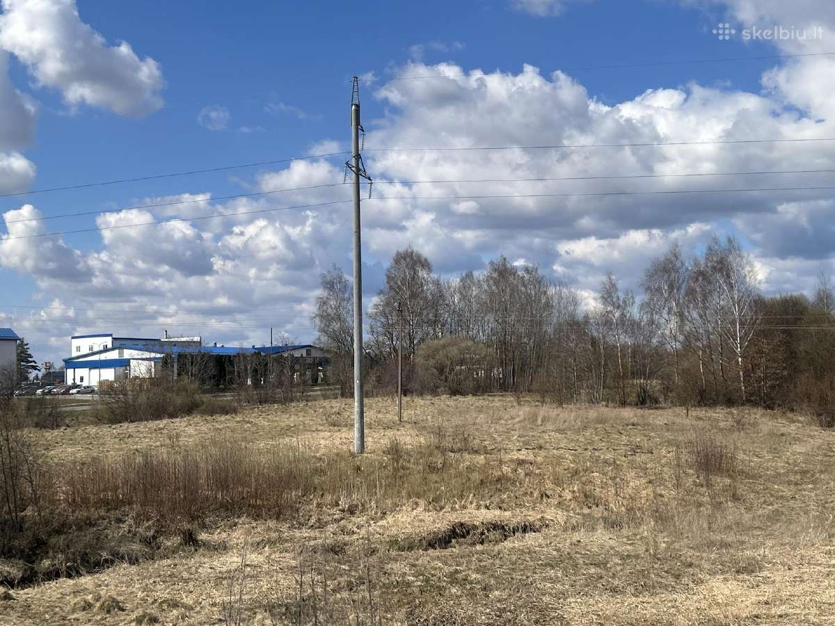 Namų valdos sklypas Dacijonuose – prie upelio - nuotraukos Nr. 14