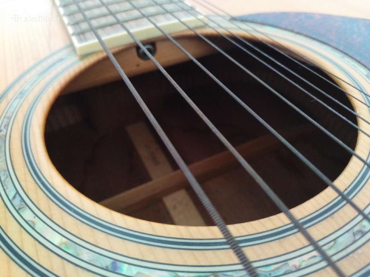 Cort 12 stygu akustine dvylikastyge gitara - nuotraukos Nr. 14