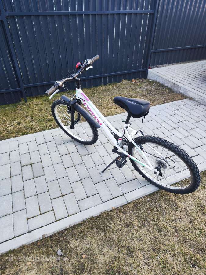 Vaikiškas dviratis 24 colių ratai - nuotraukos Nr. 2