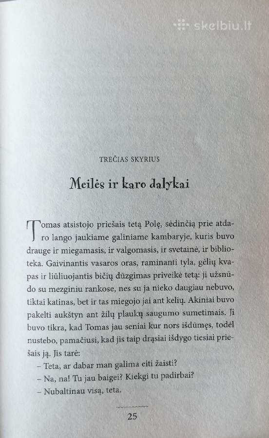 M. Twain "Tomo Sojerio nuotykiai" - nuotraukos Nr. 3