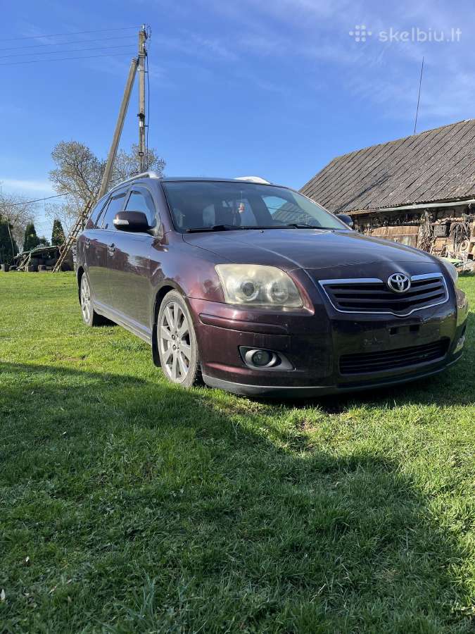 Avensis dalimis