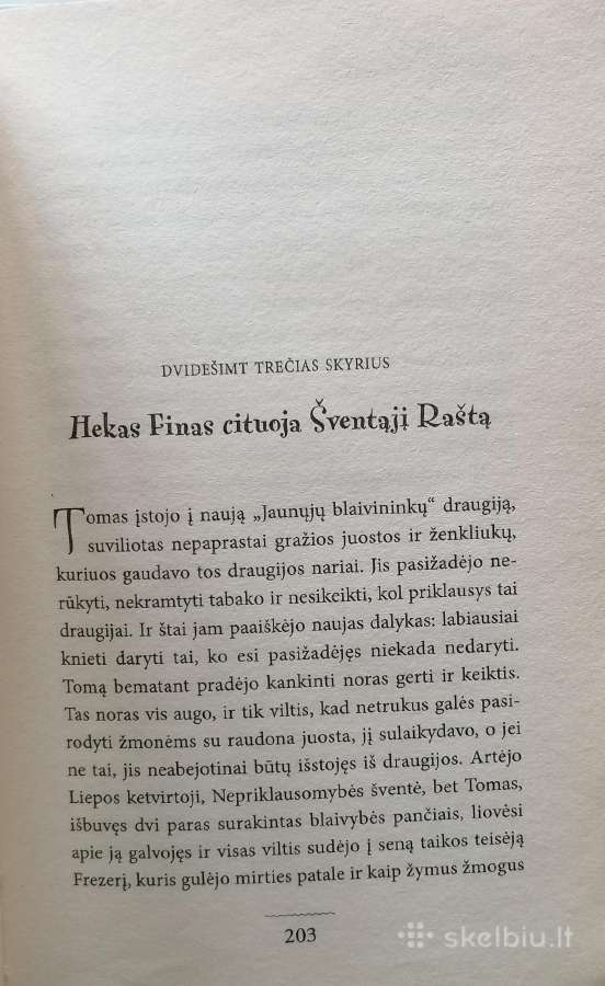 M. Twain "Tomo Sojerio nuotykiai" - nuotraukos Nr. 5