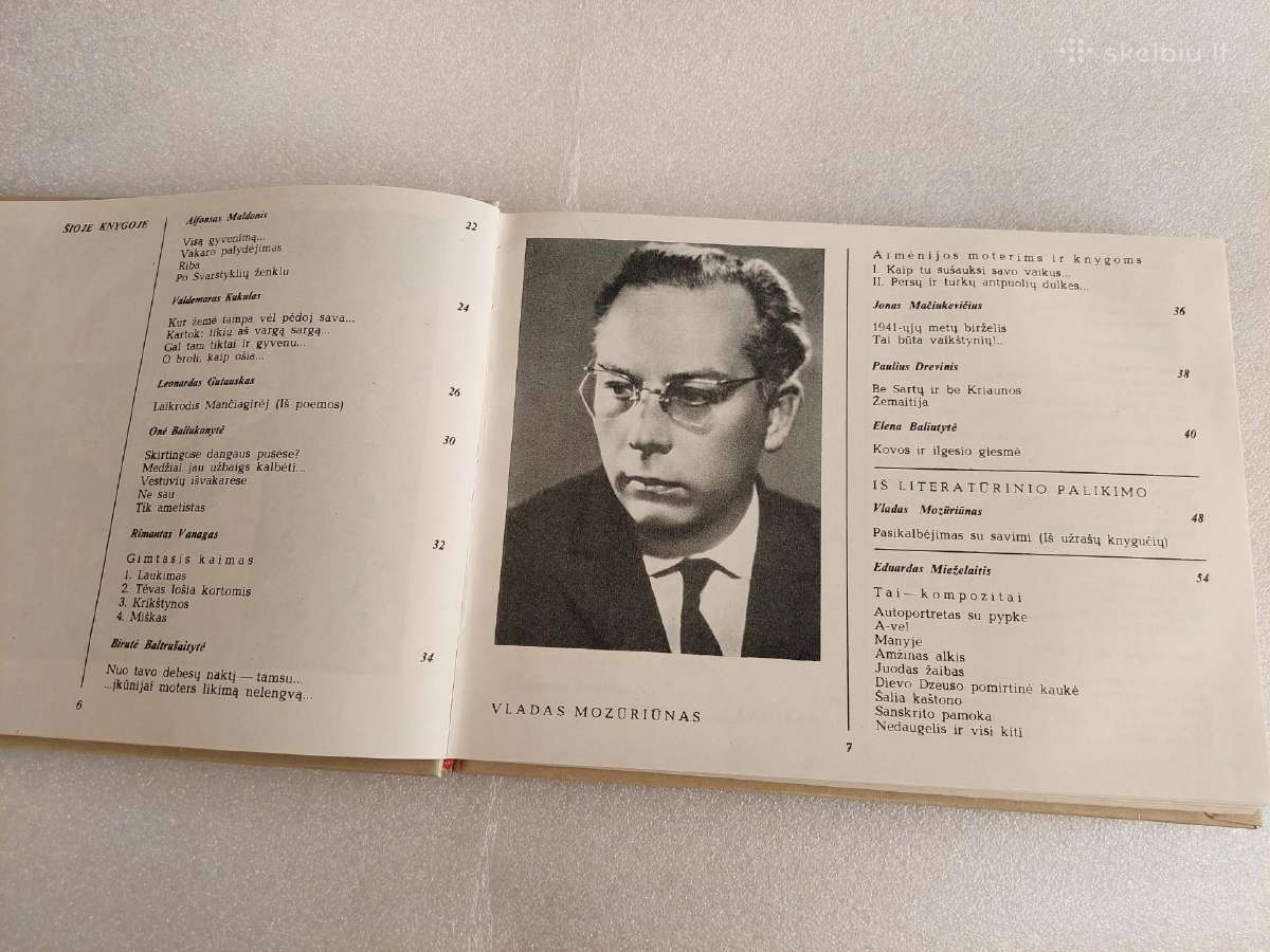 Poezijos pavasaris '82 - nuotraukos Nr. 3