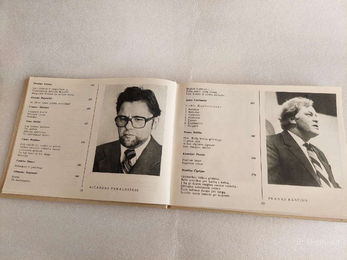 Poezijos pavasaris '82 - nuotraukos Nr. 6